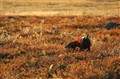 IMG_1632.JPG